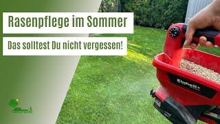 Warum Du das düngen im Sommer nicht vergessen darfst | Rasenpflege im Sommer