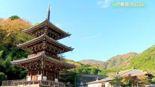 tvk公式「神奈川の風景」伊勢原編(日向～大山)