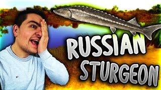 NASAO SAM GA! RUSSIAN STURGEON FISHING | Russian Fishing 4