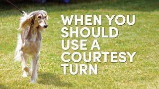 When You Should & Should NOT Use A Courtesy Turn