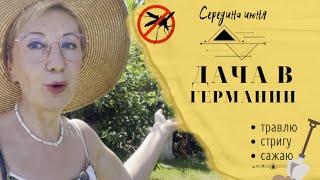 Необычные подставки под огурцы. Дача в Германии. Как побороть вредителей.