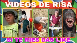 VIDEOS VIRALES DE RISA RECOPILACIÓN DE VIDEOS CHISTOSOS