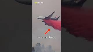 The Shocking Reason Firefighting Planes Use RED Water! #shorts