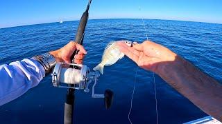 The FINAL Day!! Self Guiding Success Fishing In The Florida Keys | Episode 3