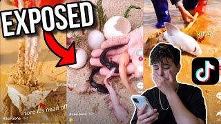 Tiktoker ABUSES Local SALTWATER CREATURES For MONEY!! (EXPOSED)