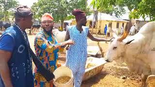 Mai Abaji chairman chiyamomi Ahj Umar abudullahi