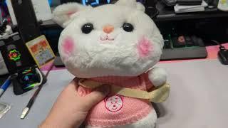 Cute little bunny: A Temu product review