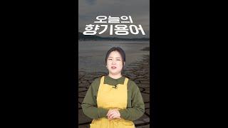 오늘의 향기 용어 - Dry 