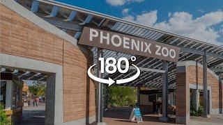 Phoenix Zoo Adventure in 180° VR | VR Pioneers