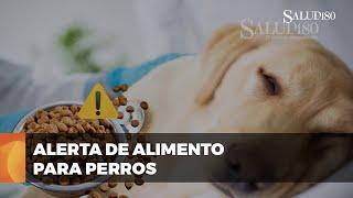  Retiro urgente de alimento para PERROS por bacterias peligrosas | Salud180 