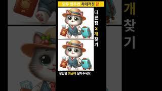 시니어 정보마당- 다른그림찾기(틀린그림찾기) - 여행가는 냥이