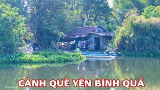 Cảnh Vùng Quê Yên Bình Mùa Lúa Trổ Bông Chạy Dọc Theo Mé Kênh Ra Sông Vàm Cỏ Đông