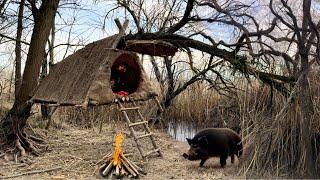 Building a hanging tree shelter is a reliable way to hide from a wild boar