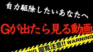 【築5年にしてゴキブリ出現…】ゴキブリ駆除｜方法｜汚部屋｜掃除｜戸建て｜片付け｜ズボラ主婦｜汚部屋脱出