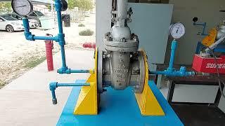 How To Do Hydrostatic Testing Or Pressure Test For Valves | Gate Valve