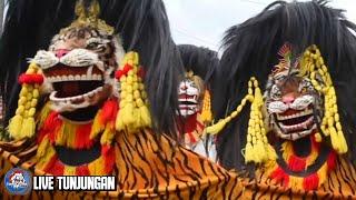 Barongan Ngamuk Ngejar Orang.. Arak Arakan Barongan Blora Singo Karang Live Tunjungan