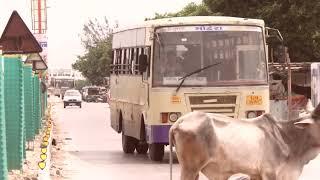 Shankheswar Jesada Sami Harij Patan Bus Departing From Shankheswar bus stand GSRTC BUS