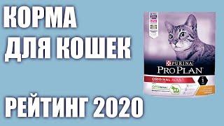 ТОП—7. Лучшие корма для кошек (сухие и влажные). Рейтинг 2020 года!