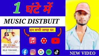 Music Distbuit || in 2 Hours || Best Music Distribute Dashboard | Norcore music Distribute Dashboard