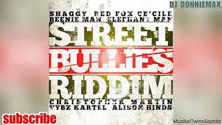 Street Bullies Riddim Mix feat.Shaggy,Chris Martin,VybzKartel,Cecile,Beenie Man,RedFox&Dj DonnieMa