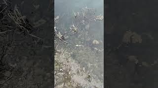 разведка по неизведанным водоёмам