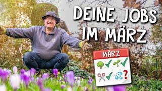 Diese Gartenarbeiten solltest du im März erledigen 