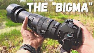 Birding with the Sigma 50-500mm Lens On The Pentax K-3 III