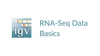 IGV | RNA-Seq Data Basics | Splice Junction Track, Downsampling