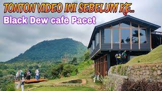 REVIEW JUJUR BLACK DEW CAFE PACET-TRAWAS MOJOKERTO || TEMPAT NONGKRONG BARU