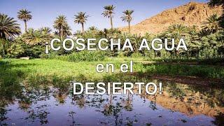 Cosechar agua con Keyline rancho en el desierto con el sistema Línea Clave