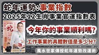 蛇年事業︱2025年12生肖事業官運指數表︱今年你的事業順利嗎？︱子平八字算命︱犯太歲、人緣運、財運、事業運、姻緣運解說《#徐墨齋七星堂︱第38集》八字︱八字算命︱FMTV