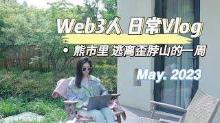 Web3人 熊市日常Vlog｜熊市里上山自愈