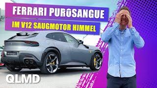 Ferrari Purosangue | V12 Sauger  | Das exklusivste SUV der Welt mit 725 PS | Matthias Malmedie