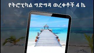 የትሮፒካል ግድግዳ ወረቀቶች 4 ኬ