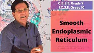 Smooth Endoplasmic Reticulum || Grade 9 & 10 Biology