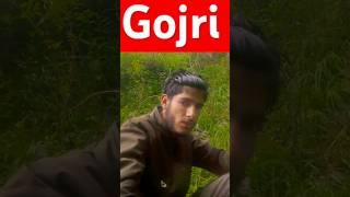 Gojri songs of Rabindranath #gojri #duet #dogrifolksong #gojrimusic #love #gojarigeet #cow #gojrison