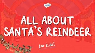 All About Santa's Reindeer for Kids | What Are the Names of Santa's Reindeer? | Twinkl USA