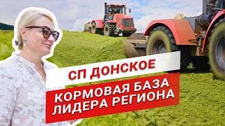 Как доить 11 000 кг/год? | СП Донское | Вера Пузанкова | Заготовка силоса | Молочное животноводство