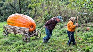 EINSAME OMA & SOHN IM KARPATENDORF | Leben in den harten Bergen | Alte Traditionen