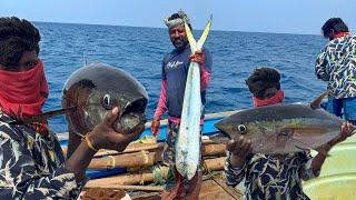 First Day Unexpected Day ! We Caught Huge Size of BlueFin Tuna Fishes in Deep Sea Fishing