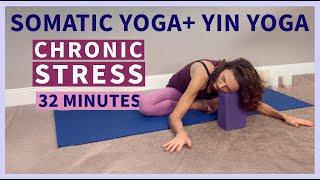 32 Min Somatic Yin Yoga for Chronic Stress & Nervous System Healing
