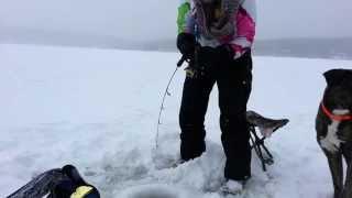 Ice fishing HUGE lake trout