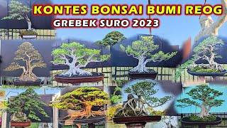 Pameran Bonsai Ponorogo 2023 ‼️ Grebeg Bonsai Bumi Reog Gaya Kontes Bonsai Pendopo Alon Alon Suro