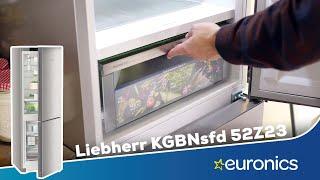 Liebherr Kühlgefrierkombination | BioFresh, NoFrost, PartyMode und mehr im Liebherr KGBNsfd 52Z23