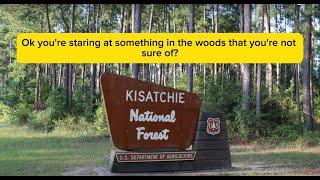 BIGFOOT 911 Call From Louisiana Sheriff's Office | Kisatchie National Forest