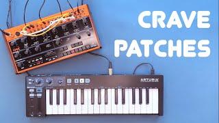 Behringer Crave Sound Demo and Patch Tutorial for Ambient, Techno and Electronica