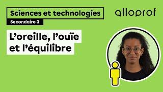 L’oreille, l’ouïe et l’équilibre | Sciences et technologies | Alloprof