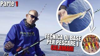 Tecnica di base per pescare i calamari - Parte 1