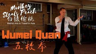 The Wumei Quan System of the late Anthony Wee - Shane Francis of Perth p1