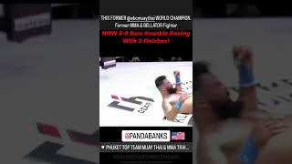 Panda Banks 3-0 with 3 Finishes in Bare Knuckle Boxing